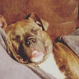 Meet your Posher, Jacob